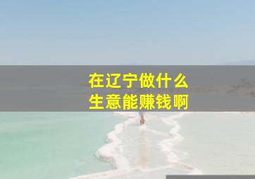 在辽宁做什么生意能赚钱啊