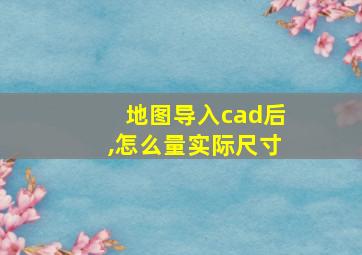 地图导入cad后,怎么量实际尺寸