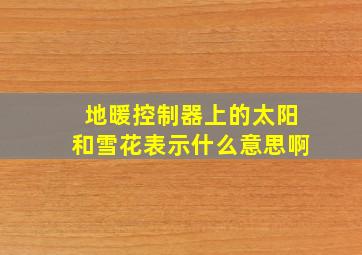 地暖控制器上的太阳和雪花表示什么意思啊