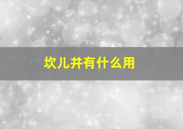 坎儿井有什么用