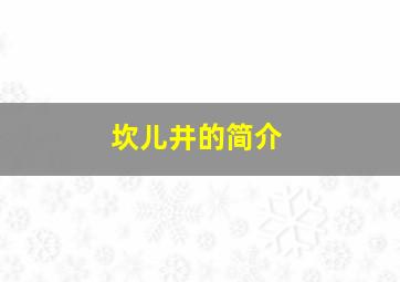 坎儿井的简介