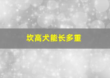 坎高犬能长多重