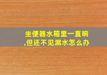 坐便器水箱里一直响,但还不见漏水怎么办