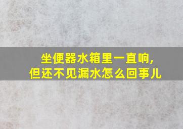 坐便器水箱里一直响,但还不见漏水怎么回事儿