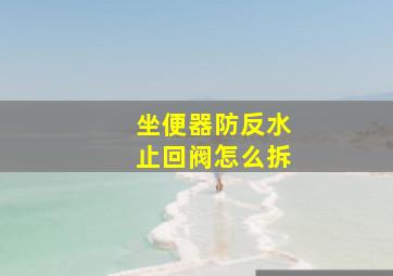 坐便器防反水止回阀怎么拆