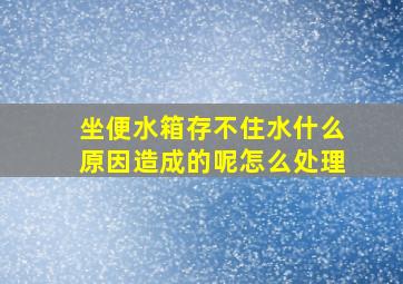 坐便水箱存不住水什么原因造成的呢怎么处理