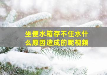 坐便水箱存不住水什么原因造成的呢视频