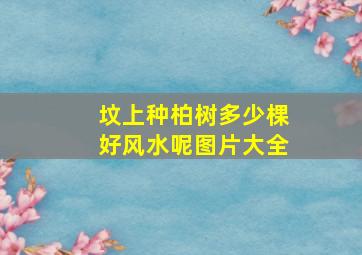 坟上种柏树多少棵好风水呢图片大全