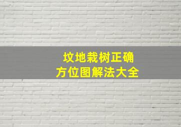 坟地栽树正确方位图解法大全