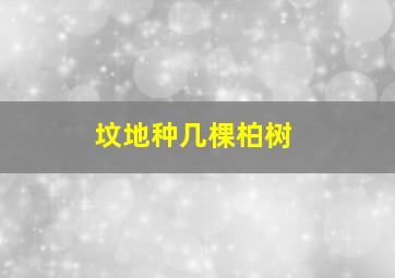 坟地种几棵柏树