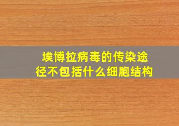 埃博拉病毒的传染途径不包括什么细胞结构