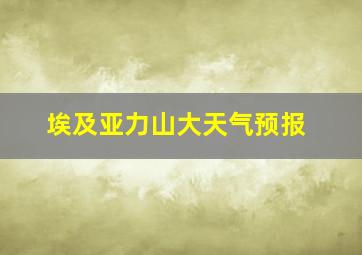 埃及亚力山大天气预报