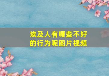 埃及人有哪些不好的行为呢图片视频