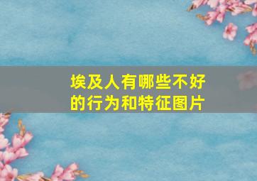 埃及人有哪些不好的行为和特征图片