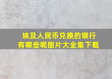 埃及人民币兑换的银行有哪些呢图片大全集下载