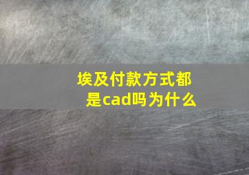 埃及付款方式都是cad吗为什么