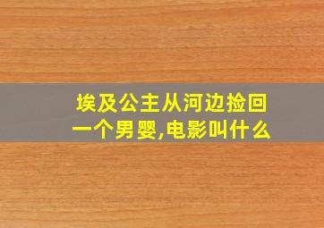 埃及公主从河边捡回一个男婴,电影叫什么