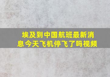 埃及到中国航班最新消息今天飞机停飞了吗视频