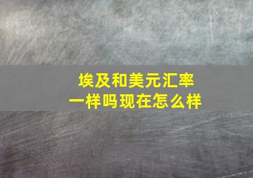 埃及和美元汇率一样吗现在怎么样