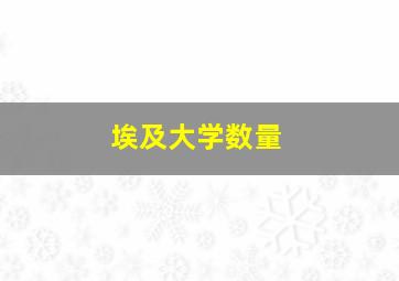 埃及大学数量