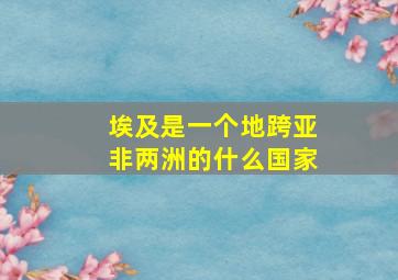 埃及是一个地跨亚非两洲的什么国家