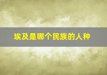 埃及是哪个民族的人种