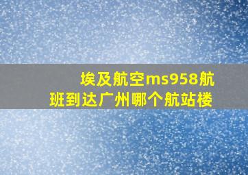 埃及航空ms958航班到达广州哪个航站楼