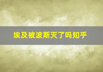 埃及被波斯灭了吗知乎