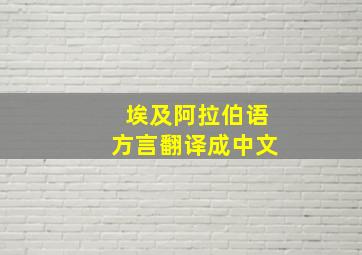 埃及阿拉伯语方言翻译成中文