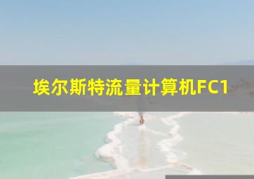 埃尔斯特流量计算机FC1