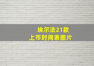 埃尔法21款上市时间表图片