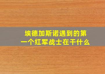 埃德加斯诺遇到的第一个红军战士在干什么