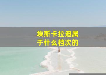 埃斯卡拉迪属于什么档次的