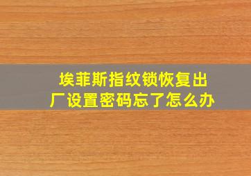 埃菲斯指纹锁恢复出厂设置密码忘了怎么办