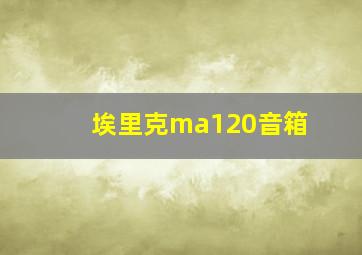 埃里克ma120音箱