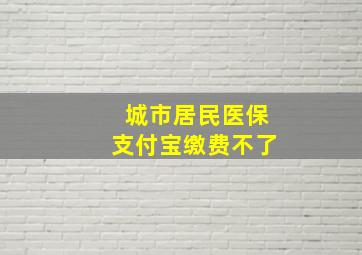 城市居民医保支付宝缴费不了