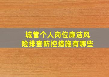 城管个人岗位廉洁风险排查防控措施有哪些