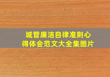 城管廉洁自律准则心得体会范文大全集图片