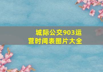 城际公交903运营时间表图片大全