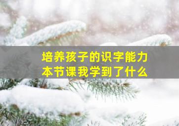 培养孩子的识字能力本节课我学到了什么