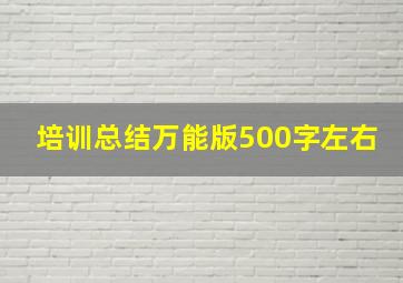 培训总结万能版500字左右