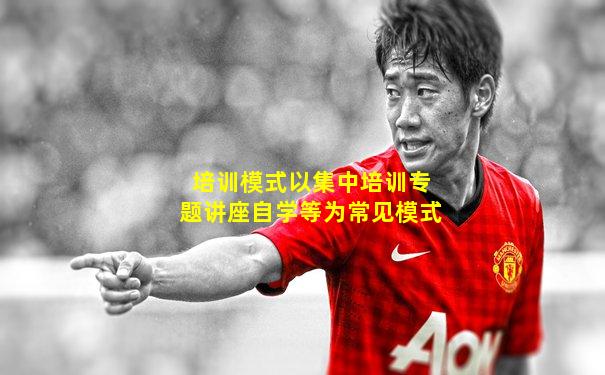 培训模式以集中培训专题讲座自学等为常见模式