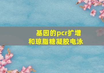 基因的pcr扩增和琼脂糖凝胶电泳