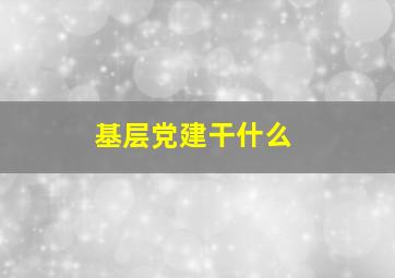 基层党建干什么