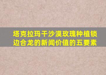 塔克拉玛干沙漠玫瑰种植锁边合龙的新闻价值的五要素