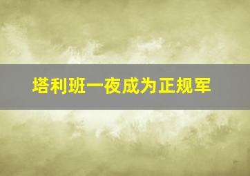 塔利班一夜成为正规军