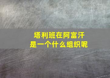 塔利班在阿富汗是一个什么组织呢