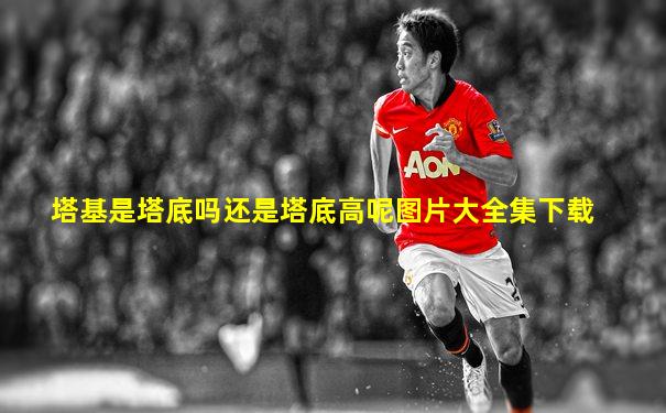 塔基是塔底吗还是塔底高呢图片大全集下载