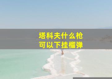 塔科夫什么枪可以下挂榴弹