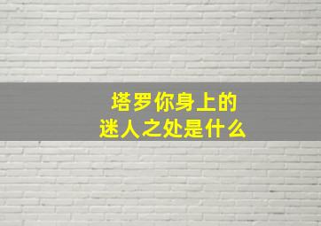 塔罗你身上的迷人之处是什么